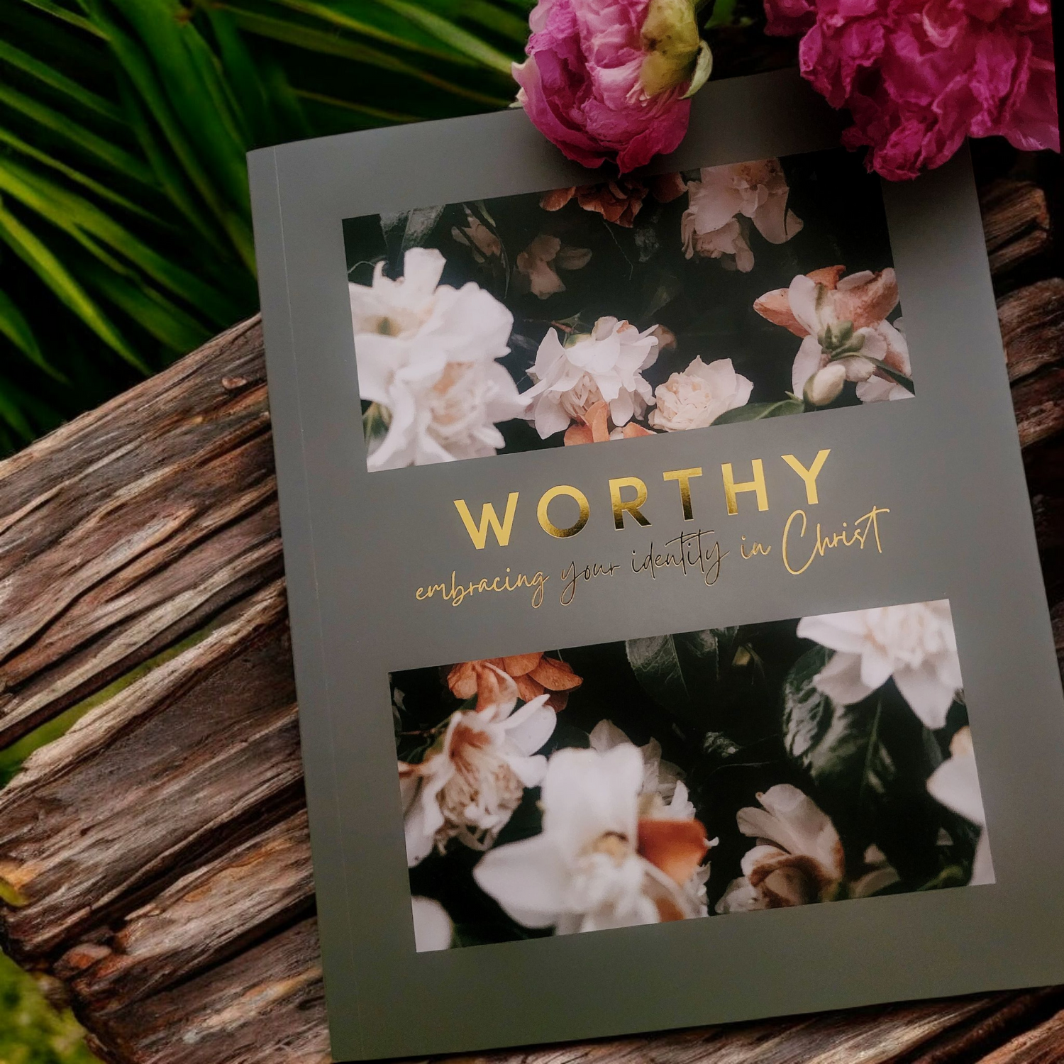 Get Candid Bible Study Collection: Grow in Grace, Stand in Truth, Heal in Him