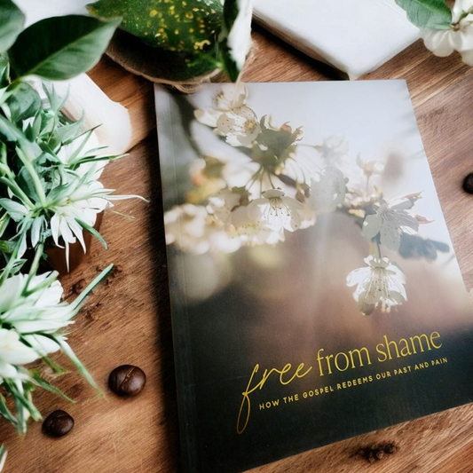 Free From Shame: How the Gospel Redeems Our Past and Pain
